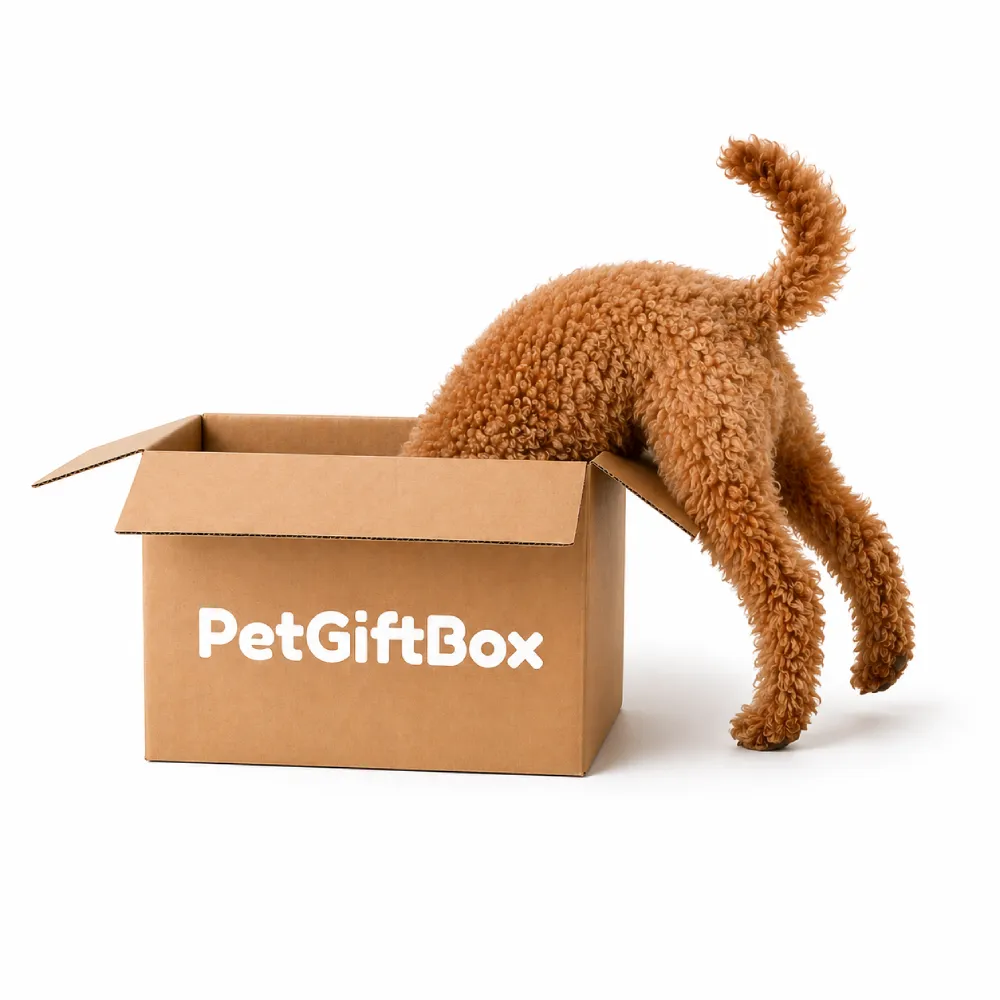 Φτιάξε το Δικό σου PetGiftBox — Premium Κουτί για Σκύλο & Γάτα