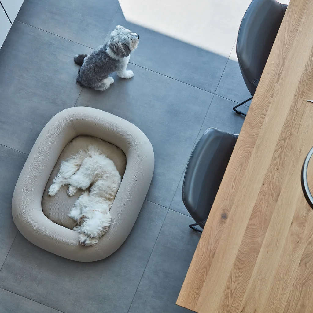 MiaCara Barca – Premium Designer Κρεβάτι Σκύλου με Memory Foam