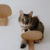 MiaCara Parete Επιτοίχιο Σκαλοπάτι Γάτας