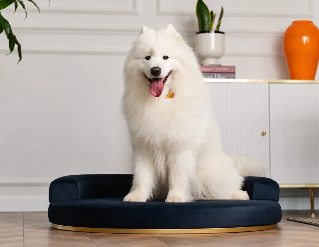 Nobu Design Pet Sofa – Καναπές για Σκύλο & Γάτα